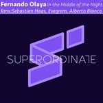 cover: Fernando Olaya - In The Middle Of The Night (The Remixes)