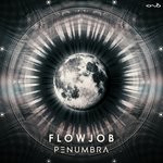 cover: Flowjob - Penumbra