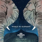 cover: Elephant|Whale - Lighthouse