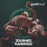 cover: Tourneo - Flamingo