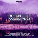 cover: Various - Autumn Collective 03