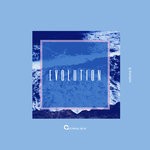 cover: Various - Evolution 6