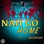 cover: Ingenious Musiq - Nah Go Home