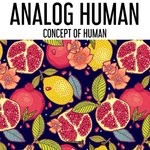 cover: Analog Human - Concept Of Human