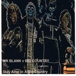 cover: Big Country|Mr Blank - Stay Alive In A Big Country