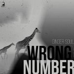 cover: Ginger Soul - Wrong Number