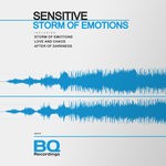 cover: Sensitive (it) - Storm Of Emotions