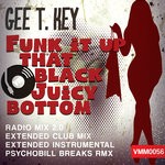 cover: Gee T. Key - Funk It Up That Black Juicy Bottom