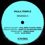 cover: Paula Temple - Edge Of Everything Remixes 2