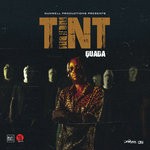 cover: Quada - Tint