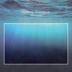 cover: Antarctic Wastelands - Frozen Voyage