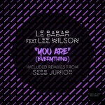 cover: Lee Wilson|Le Babar - You Are (Everything) (Part 2)