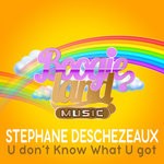 cover: Stephane Deschezeaux - U Don't Know What U Got