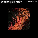 cover: Esteban Miranda - Molecullar