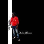 cover: Archie Wonder - Wild & Free