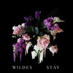 cover: Wildes - Stay