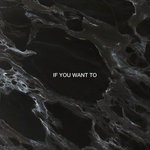 cover: Dimension - If You Want To