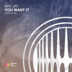 cover: Nay Jay - You Want It