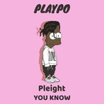 cover: Pleight - You Know