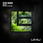 cover: Steve Shaden - Welter