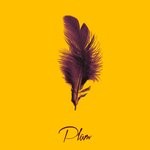 cover: Plum - Play Me