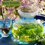 cover: Wayne Dreadski - Steamed Greens