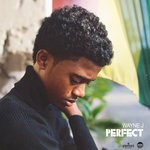 cover: Wayne J - Perfect