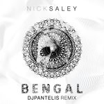 cover: Nick Saley - Bengal