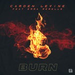 cover: Camden Levine|Emma Remelle - Burn