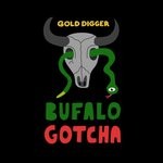 cover: Bufalo - Gotcha