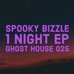 cover: Spooky Bizzle - 1 Night