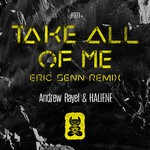 cover: Andrew Rayel & Haliene - Take All Of Me