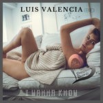 cover: Luis Valencia (be) - I Wanna Know