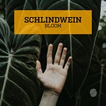 cover: Schlindwein - Bloom