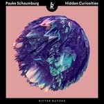 cover: Pauke Schaumburg - Hidden Curiosities