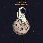 cover: Habensky - Missing Homeland