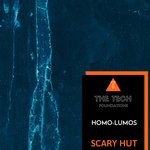 cover: Homo-lumos - Scary Hut