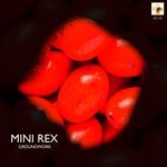 cover: Ground Work - Mini Rex