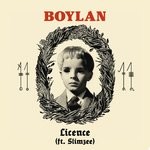 cover: Boylan|Slimzee - License