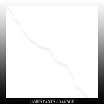 cover: James Pants - Savage