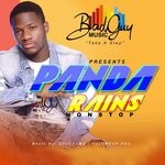 cover: Panda Rains - Non Stop