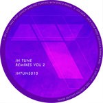 cover: Various - In Tune Remixes Vol 2