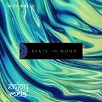 cover: Sam Brian - Beats In Mood