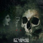 cover: Dj Tomsten - Feel The Noize