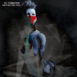 cover: Dj Tomsten - Waiting For You2