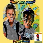 cover: Super-twinz - Hey Big Man