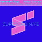 cover: Fernando Olaya - Perfect Stranger (The Remixes)