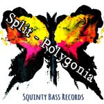 cover: Split - Polygonia