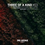 cover: Agustin Giri|Damian Cruga|Jaksa Pavicevic - Three Of A Kind #03