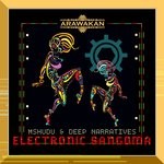 cover: Deep Narratives|Mshudu - Electronic Sangoma